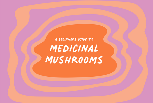 A Beginner's Guide To Medicinal Mushrooms